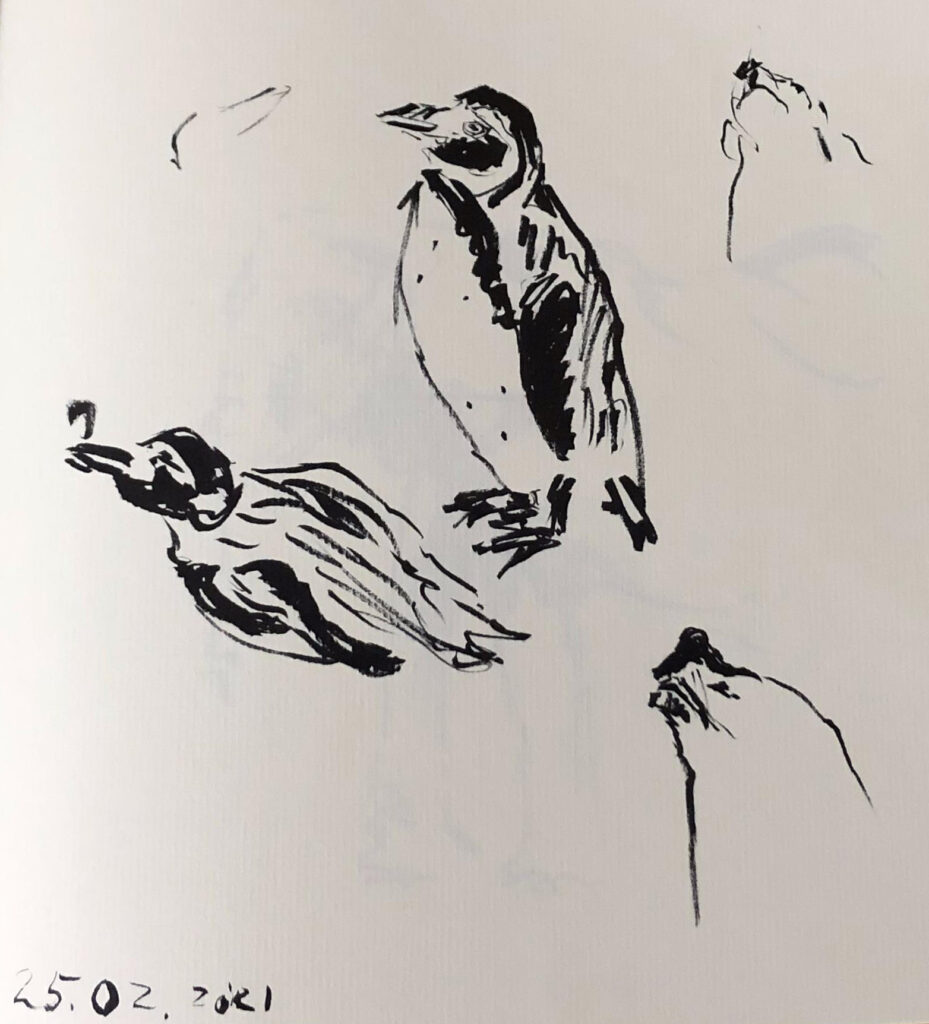 animal studies drawn with an ink brushpen
