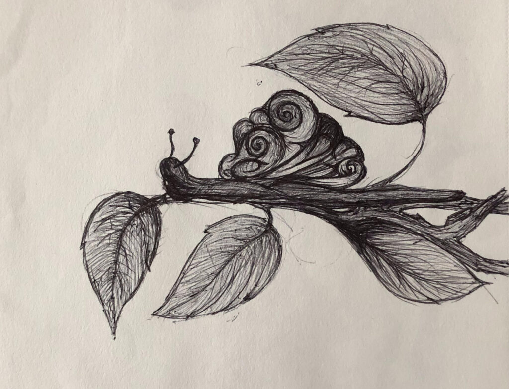 fineart snail