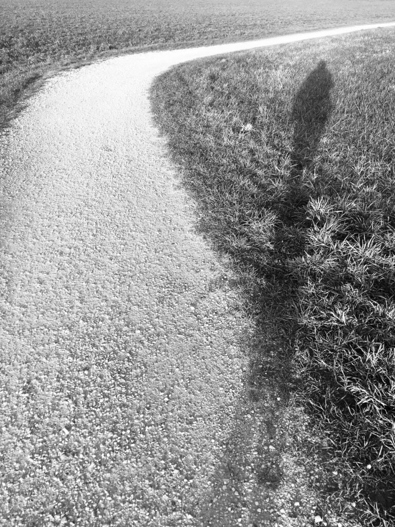 It is a photograph. There is a pebble path and grass. A shadow can be seen, the shadow of the person who is not in the picture.