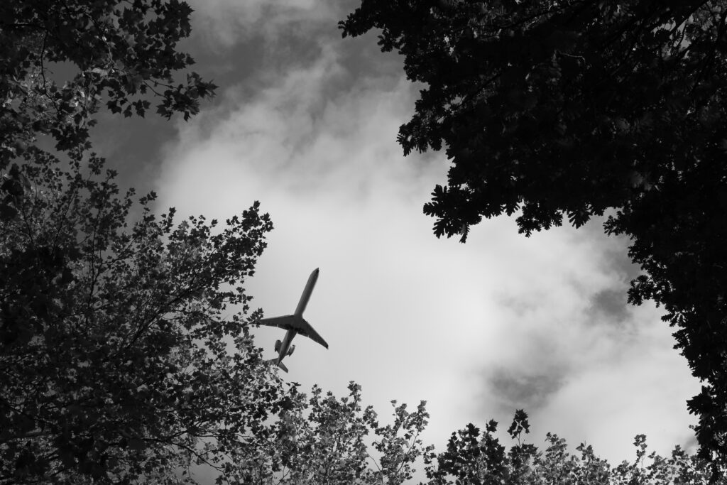 Photography in black and white. The detail shows an aeroplane. The crop is surrounded by the treetops. The aeroplane can be seen from below.