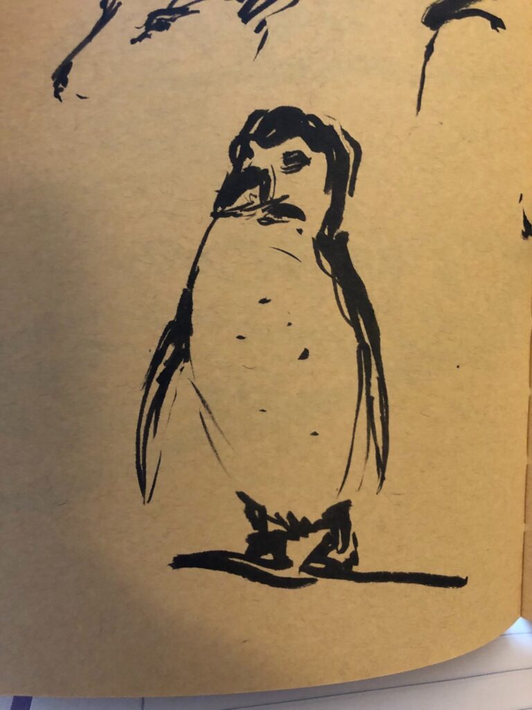 drawing - nature study of a penguin 